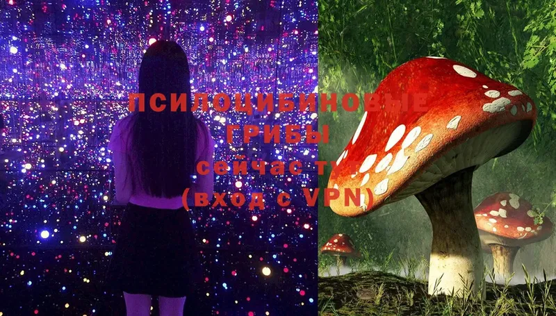 Галлюциногенные грибы MAGIC MUSHROOMS  Заводоуковск 